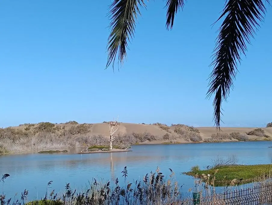 Weisshorn Bungalow 40 Maspalomas  Maspalomas (Gran Canaria)